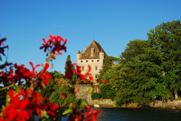 Two notable features about Yvoire: its castle is still inhabited by the Baron d'Yvoire's family and it's a winner of the grand prix de fleurs en France.